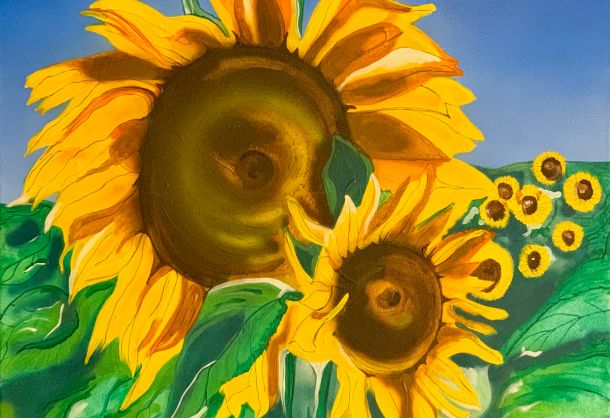 Sonnige Blumen